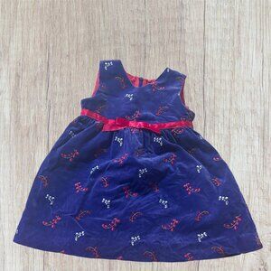 18-24m Hanna Andersson Velvet Floral Jumper Dress